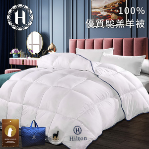 商品大圖