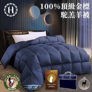商品大圖