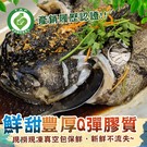 產品圖165x165