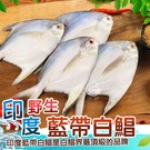 產品圖165x165